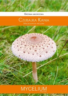 Grzybnia - Grzybnia mikoryzowa Czubajka Kania 60ml - Nasiona i cebule - miniaturka - grafika 1