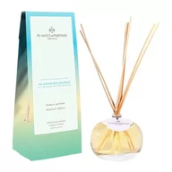 Aromaterapia - Dyfuzor zapachowy kolekcja Słoneczna Prowansja - W Sercu Źródła- 100ml - miniaturka - grafika 1