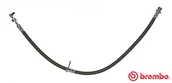 Przewody hamulcowe - BREMBO PRZEWÓD HAMULCOWY GIĘTKI BREMBO T83098 9008094199 T83098 - miniaturka - grafika 1