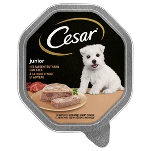 Cesar Junior w tackach, 14 x 150 g - Indyk i cielęcina - Mokra karma dla psów - miniaturka - grafika 1