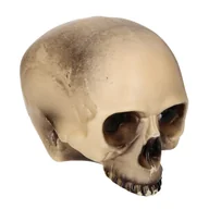 Halloween - GU Czaszka na Halloween - 20 cm - 1 szt. G26277 - miniaturka - grafika 1