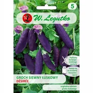 Nasiona i cebule - GROCH GROSZEK SIEWNY ŁUSKOWY fioletowy NASIONA warzyw p. PL230/12/210/L294/A - miniaturka - grafika 1