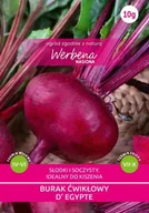 Nasiona i cebule - Burak ćwikłowy d'Egypte Egipski nasiona 10g WerbenaArt - miniaturka - grafika 1