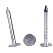 Gwoździe - Metalurgia Gwoździe Papowe Ocynkowane 3.0*50Mm 902 50 ZN 5904215837558 - miniaturka - grafika 1