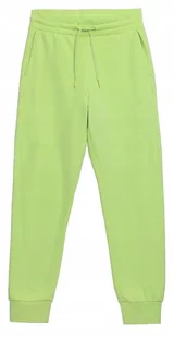 DAMSKIE SPODNIE DRESOWE 4F H4L22 SPDD010 72S S - Dresy damskie - miniaturka - grafika 1