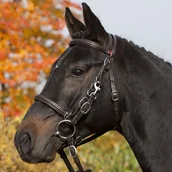 Akcesoria jeździeckie - KIEFFER Ogłowie rajdowe Trail - miniaturka - grafika 1