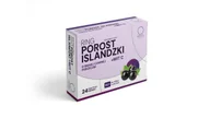 Syropy i koncentraty owocowe - Ring Porost Islandzki + Wit. C o smaku czarnej porzeczki 24 pastylki - miniaturka - grafika 1