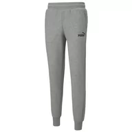Spodnie męskie - Puma, Spodnie męskie, Essentials Logo Pants, 586714-03, szare, rozmiar S - miniaturka - grafika 1