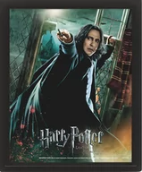 Plakaty - obraz w ramie 3D HARRY POTTER - DEATHLY HALLOWS SNAPE - miniaturka - grafika 1