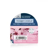 Zapachy do domu - Yankee Candle Yankee Candle Wax Melt Zapachowy Wosk Cherry Blossom - miniaturka - grafika 1