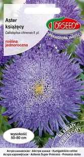 Nasiona Aster wysoki książęcy niebieskofioletowy 0,5g - Torseed - Nasiona i cebule - miniaturka - grafika 1