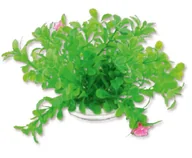 Dekoracje do akwarium - Roślina folia 10cm 1f18 Happet - miniaturka - grafika 1
