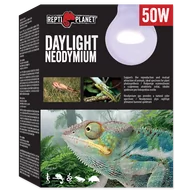 Akcesoria do terrarium - Repti Planet RP Żarówka Daylight Neodymium 50W - miniaturka - grafika 1