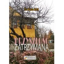 Przyszłość zatrzymana - Psychologia - miniaturka - grafika 1