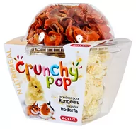 Przysmaki dla gryzoni - Zolux CRUNCHY POP carotte 43 g 209261 - miniaturka - grafika 1