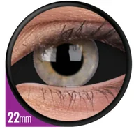 Soczewki kontaktowe - Maxvue Vision Crazy Sclera - Dark Angel - miniaturka - grafika 1