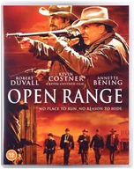 Filmy akcji Blu-Ray - Bezprawie - miniaturka - grafika 1