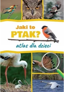 Jaki to ptak? Atlas dla dzieci - Książki edukacyjne - miniaturka - grafika 3