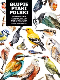 Głupie ptaki Polski. Przewodnik świadomego obserwatora - Poradniki hobbystyczne - miniaturka - grafika 1
