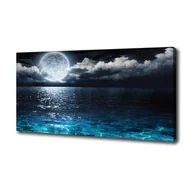 Obrazy i zdjęcia na płótnie - Foto obraz na płótnie Księżyc w pełni - miniaturka - grafika 1