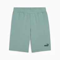Spodenki męskie - PUMA SPODENKI ESS NO. 1 LOGO 10'' 68259530 r S - miniaturka - grafika 1