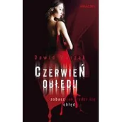 Powieści sensacyjne - Novae Res Czerwień obłędu - DAWID WASZAK - miniaturka - grafika 1