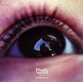 Winyle - Night Marks: Experience [winyl] - miniaturka - grafika 1