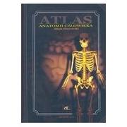 Książki medyczne - AZ Adam Zborowski Adam Zborowski Atlas anatomii człowieka - miniaturka - grafika 1