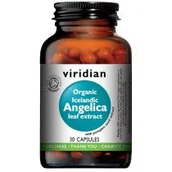 Układ moczowy i płciowy - VIRIDIAN Viridian Organic Icelandic Angelica arcydzięgiel litwor liście ekologiczny ekstrakt x 30 kaps - miniaturka - grafika 1