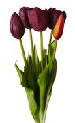 Sztuczne kwiaty - Tulipany silikonowe jak żywe fioletowe bukiet 5 sztuk gumowe 43 cm - miniaturka - grafika 1
