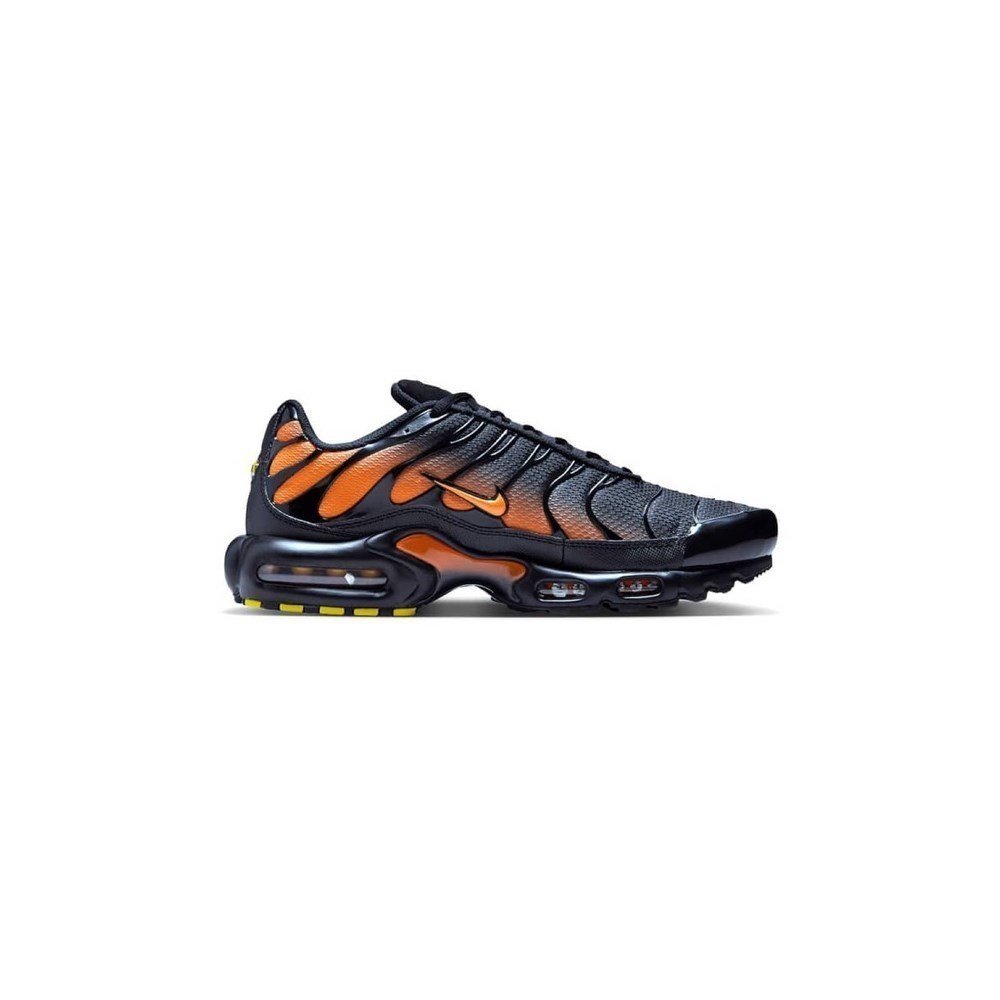 Buty Nike Air Max Plus DM0032025