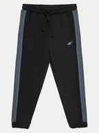 Spodnie sportowe męskie - 4F Spodnie dresowe 4FJWAW24TTROM759 Czarny Regular Fit - miniaturka - grafika 1