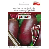 Nasiona i cebule - Plantico Burak - nasiona na taśmie 5m - miniaturka - grafika 1