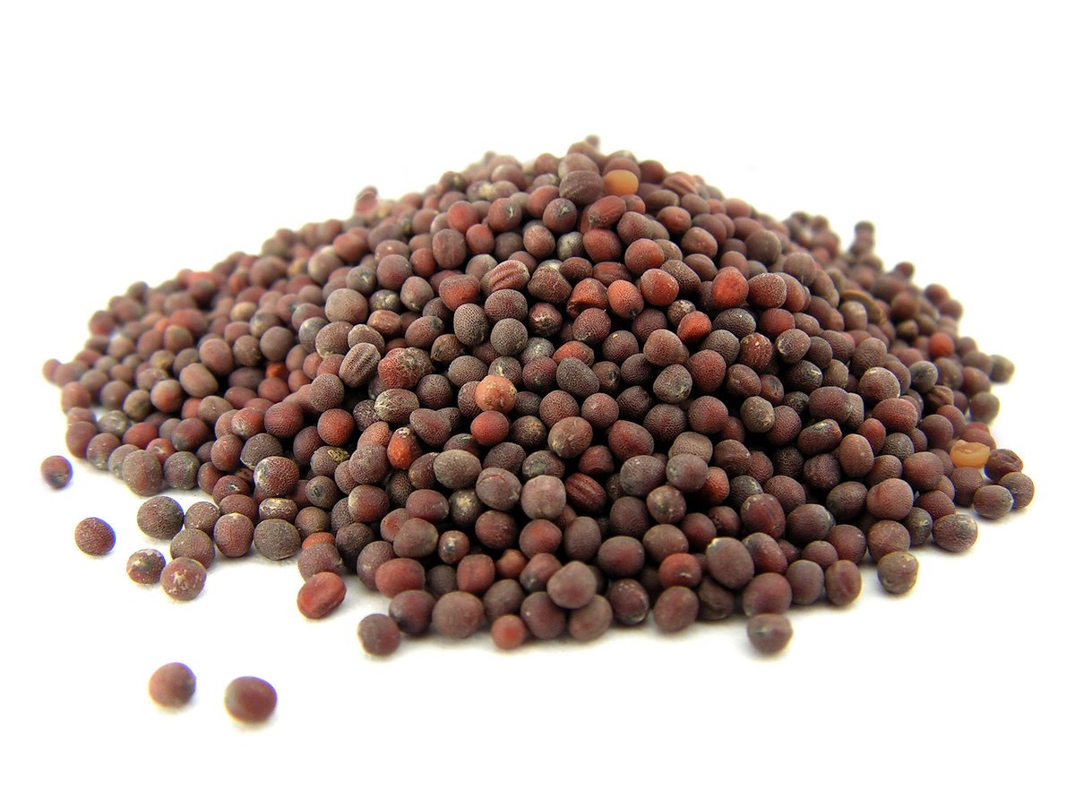 GORCZYCA CZARNA ziarno 100 g - Aromatika