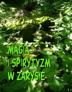 Magia i spirytyzm w zarysie - Religia i religioznawstwo - miniaturka - grafika 1