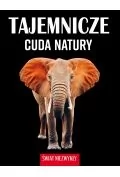 Albumy krajoznawcze - Tajemnicze cuda natury. Świat niezwykły - miniaturka - grafika 1