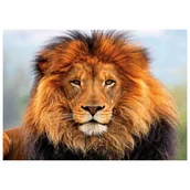 Zabawki kreatywne - Mozaika diamentowa, haft 30x40 Lew Flamingo line - miniaturka - grafika 1