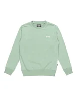 Bluzy dla chłopców - BILLABONG Bluza chłopięca Arch Cr Lt (1 szt.) - miniaturka - grafika 1