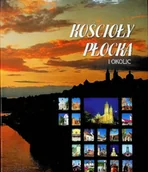 Książki o kulturze i sztuce - Kościoły Płocka i okolic - miniaturka - grafika 1