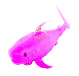 Rekin Gniotek Ściskacz Zabawka Antystresowa - Zabawki sensoryczne - miniaturka - grafika 1