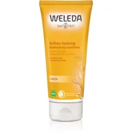 Odżywki do włosów - Weleda Hair Care owsiana odżywka regeneracyjna do włosów suchych i zniszczonych Oat Regenerating Conditioner) 200 ml - miniaturka - grafika 1