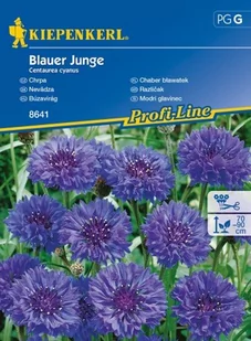 Kiepenkerl Chaber bławatek Blauer Junge Centaurea cyanus 102296 - Nasiona i cebule - miniaturka - grafika 1