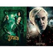Puzzle - Magiczne puzzle-zdrapka 150 el. Harry Potter. Draco Malfoy Wizarding World - miniaturka - grafika 1