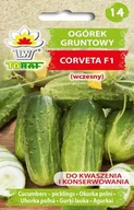 Nasiona i cebule - Ogórek Corveta F1 wczesny ciemnozielony nasiona warzyw - miniaturka - grafika 1