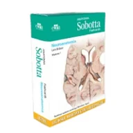 Książki medyczne - Edra Urban & Partner Anatomia Sobotta Flashcards Neuroanatomia. Łacińskie mianownictwo anatomiczne - miniaturka - grafika 1