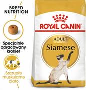 Sucha karma dla kotów - Royal Canin Siamese 38 4 kg - miniaturka - grafika 1