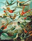 Malowanie po numerach - Obraz Malowanie po numerach - Ptasie królestwo - miniaturka - grafika 1