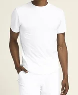 Koszulki sportowe męskie - Koszulka męska Wilson M Everyday Performance Tee Bright White L - miniaturka - grafika 1