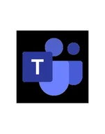 Akcesoria do serwerów - CSP Microsoft Teams Premium Introductory Pricing [1J1J] New Commerce CFQ7TTC0RM8K-0002-1J1J - miniaturka - grafika 1