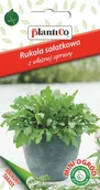 Nasiona i cebule - NASIONA Rukola Sałatowa 1g PLANTICO Całoroczna 426481 - miniaturka - grafika 1